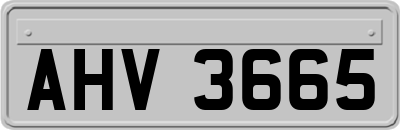AHV3665