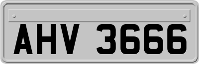 AHV3666