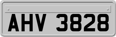 AHV3828