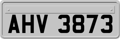 AHV3873