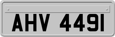 AHV4491