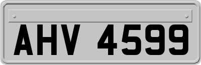 AHV4599