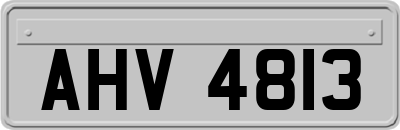 AHV4813