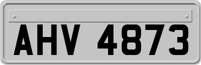 AHV4873