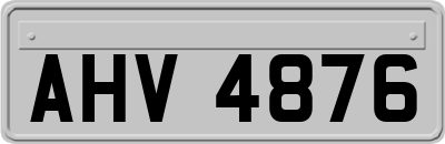 AHV4876
