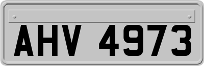 AHV4973