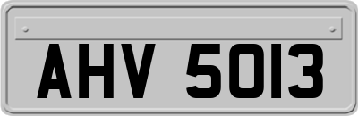 AHV5013
