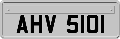 AHV5101