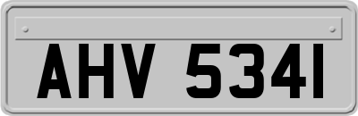 AHV5341