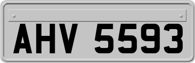 AHV5593