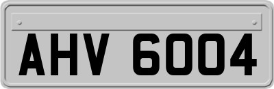 AHV6004