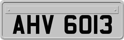 AHV6013
