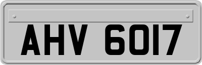 AHV6017