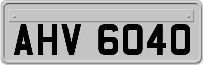 AHV6040