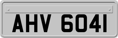 AHV6041