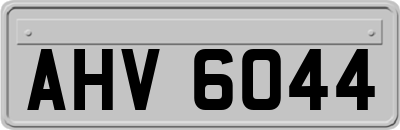 AHV6044