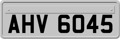 AHV6045