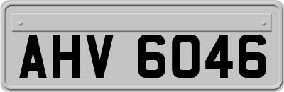 AHV6046