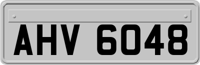 AHV6048
