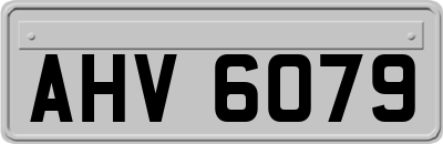 AHV6079