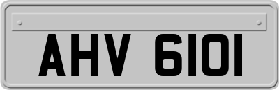 AHV6101