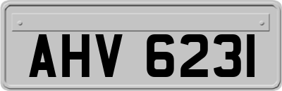 AHV6231