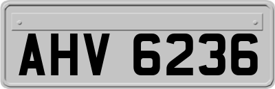 AHV6236