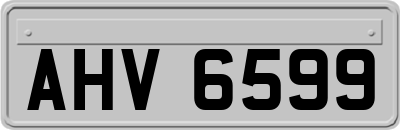 AHV6599