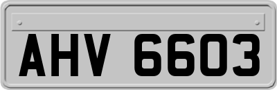 AHV6603