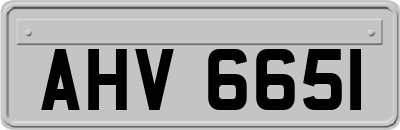 AHV6651