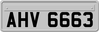 AHV6663
