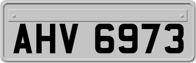 AHV6973