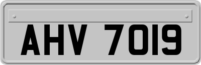 AHV7019