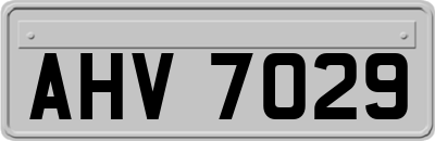 AHV7029