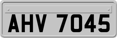 AHV7045