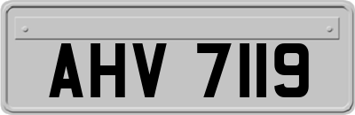 AHV7119