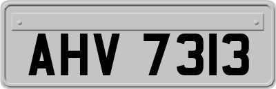 AHV7313
