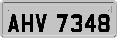 AHV7348