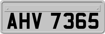 AHV7365