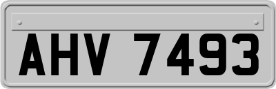 AHV7493