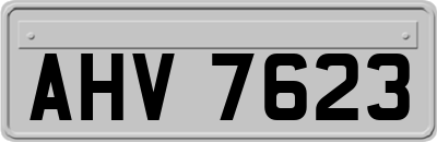 AHV7623