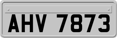 AHV7873