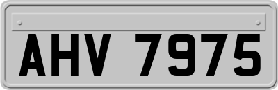 AHV7975
