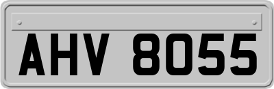 AHV8055
