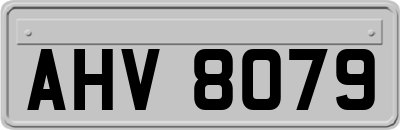 AHV8079