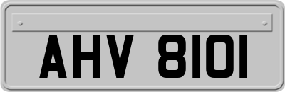 AHV8101