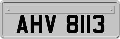 AHV8113