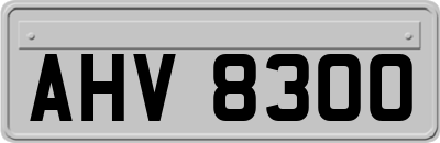 AHV8300