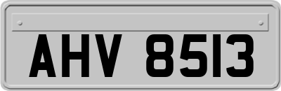 AHV8513