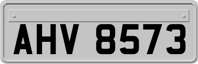 AHV8573